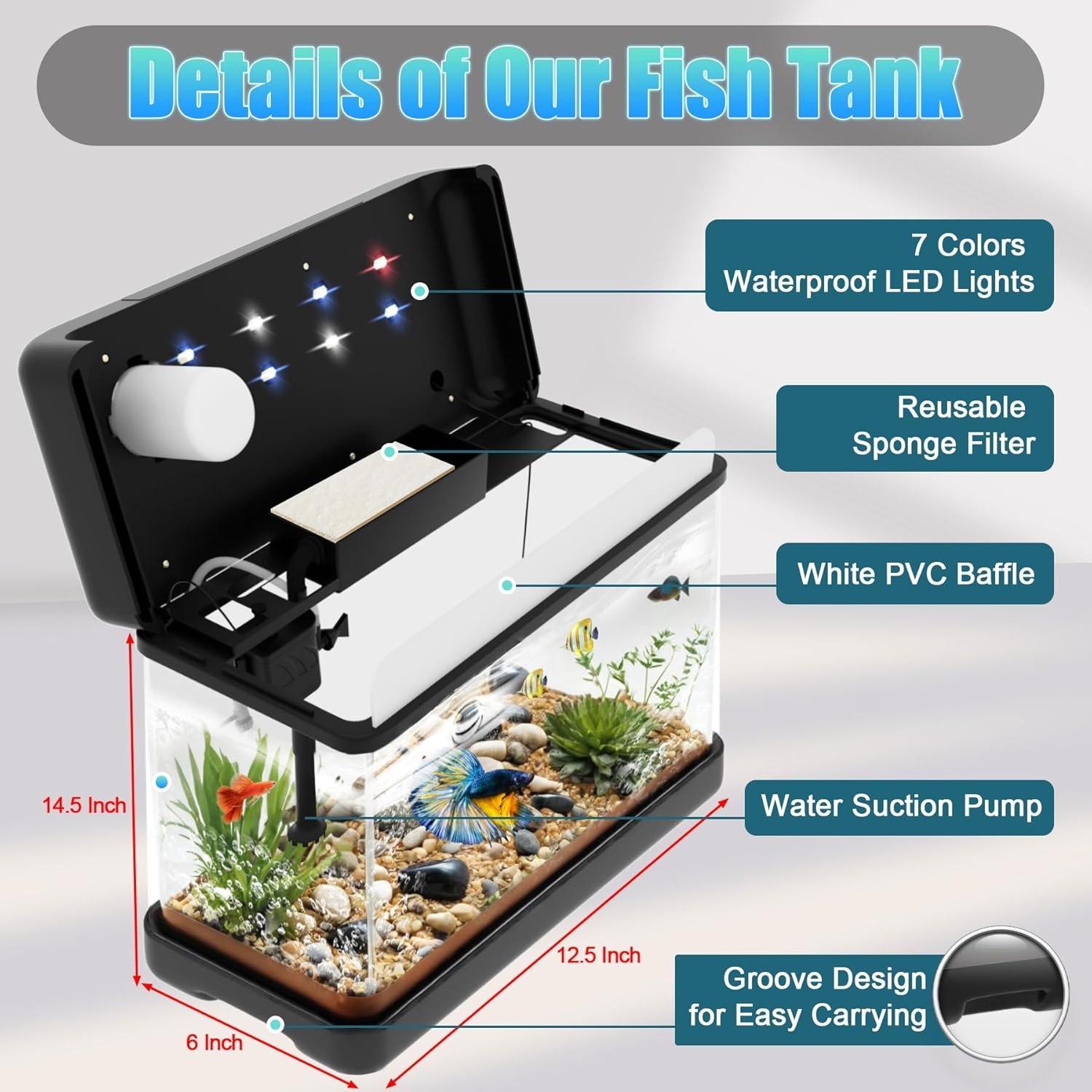 Eco Fish Tank - 图片 2