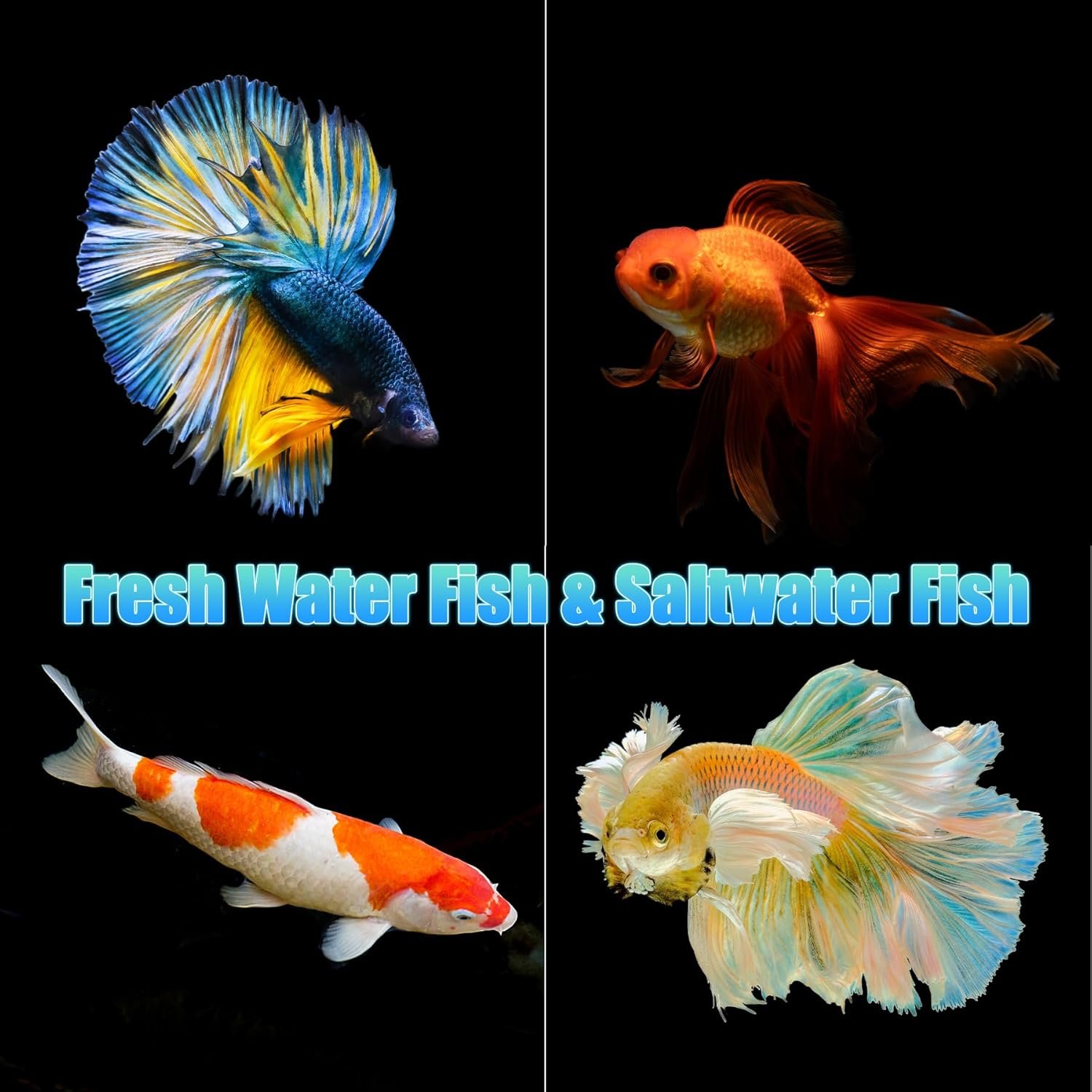 Eco Fish Tank - 图片 5